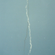 Illustration for article titled Long-Forgotten Photographs Reveal Challenger Disaster As It Happened